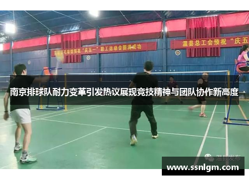 南京排球队耐力变革引发热议展现竞技精神与团队协作新高度
