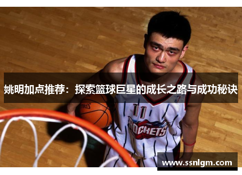 姚明加点推荐：探索篮球巨星的成长之路与成功秘诀