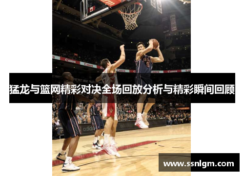 猛龙与篮网精彩对决全场回放分析与精彩瞬间回顾