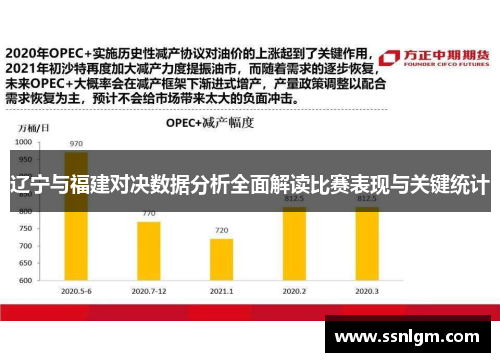 辽宁与福建对决数据分析全面解读比赛表现与关键统计